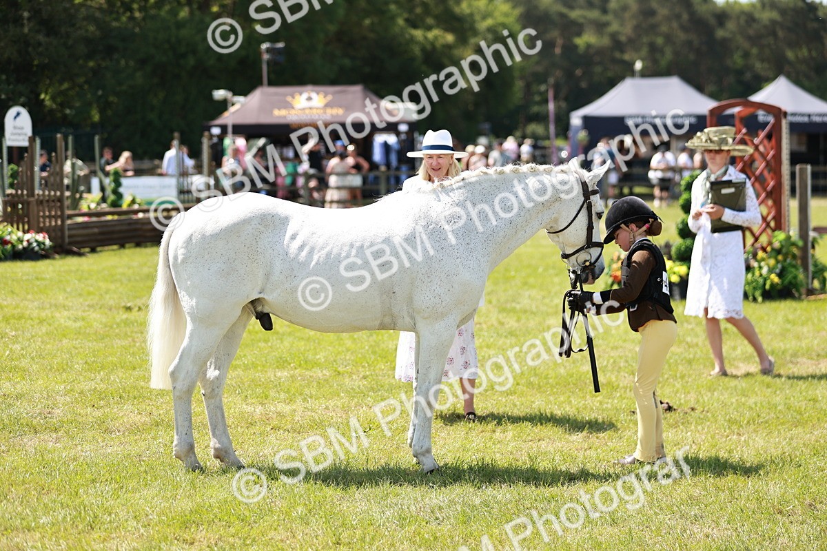 SBM_15653 - Class 108-109 - BSPS LIHS Open Gradle & Nursery Stakes
