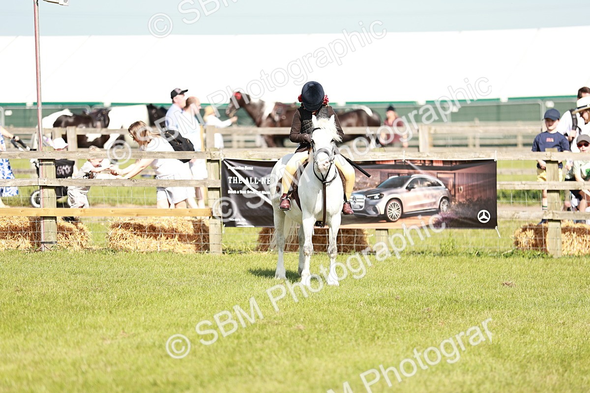 SBM_12628 - Class 106-107 - BSPS LIHS Working Sports Pony