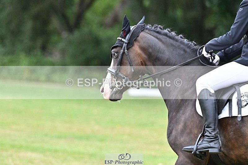 250820A-100848-02481 - Start to 11am