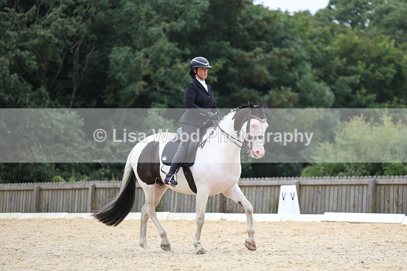 3E7A7381 - Class 9: Elementary 4 2024 - No sections