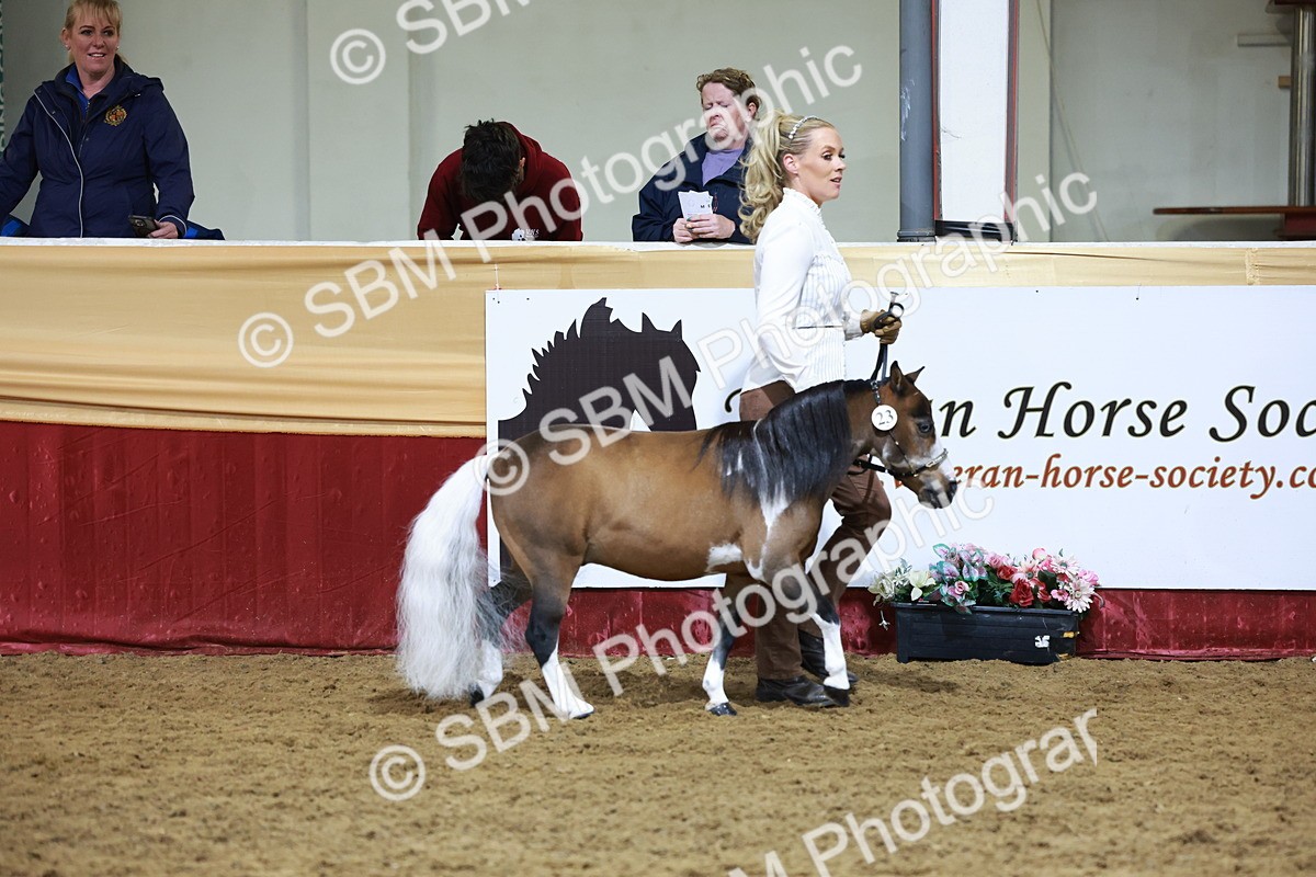 SBM_20418 - Class F - IH Small (148cm & Under)Champ