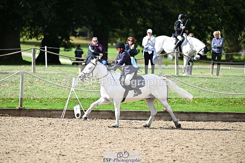 251005A-140328-04263 - Cls 09 Nov 80-85cm