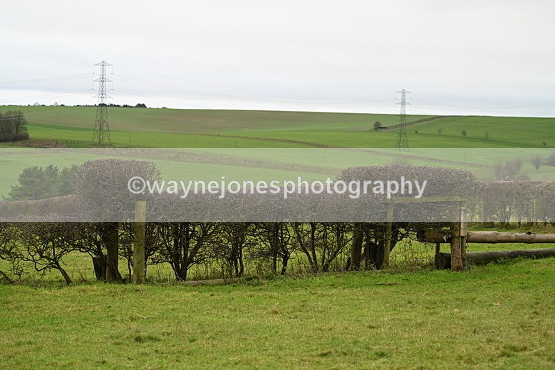 WJ7_7767 - Camera 2
