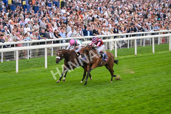 230825-Race 2-Tarriance-0010 - Race 2 2.25pm Sky Bet Melrose Handicap