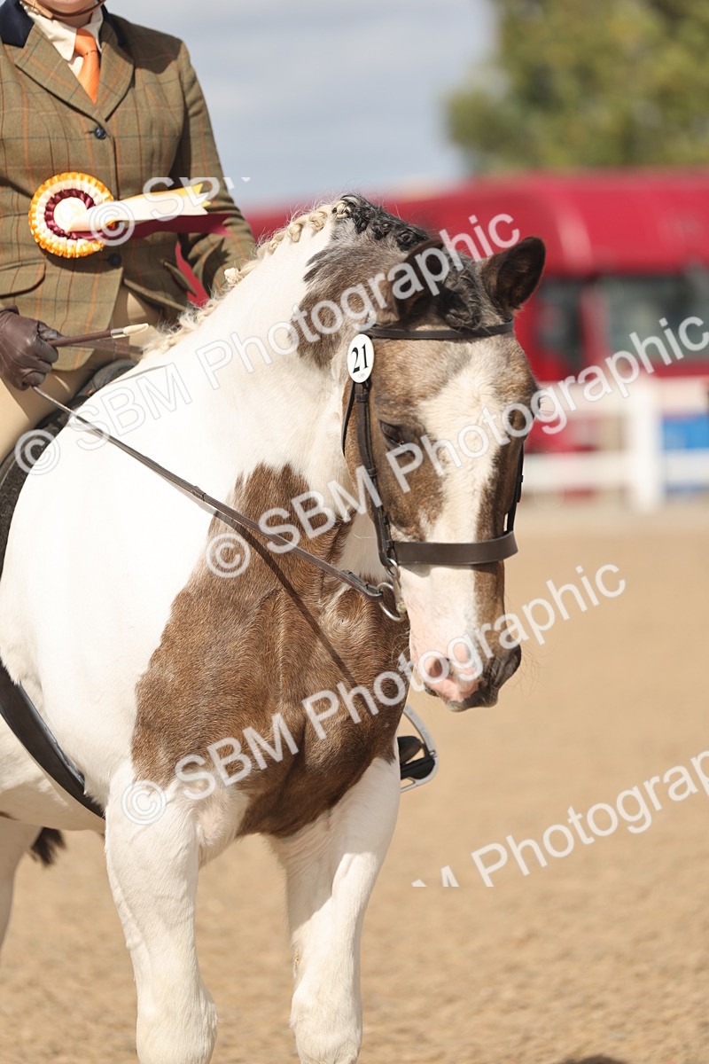 SBM_23276 - Class 807 - young Rider 11 to 16 Years