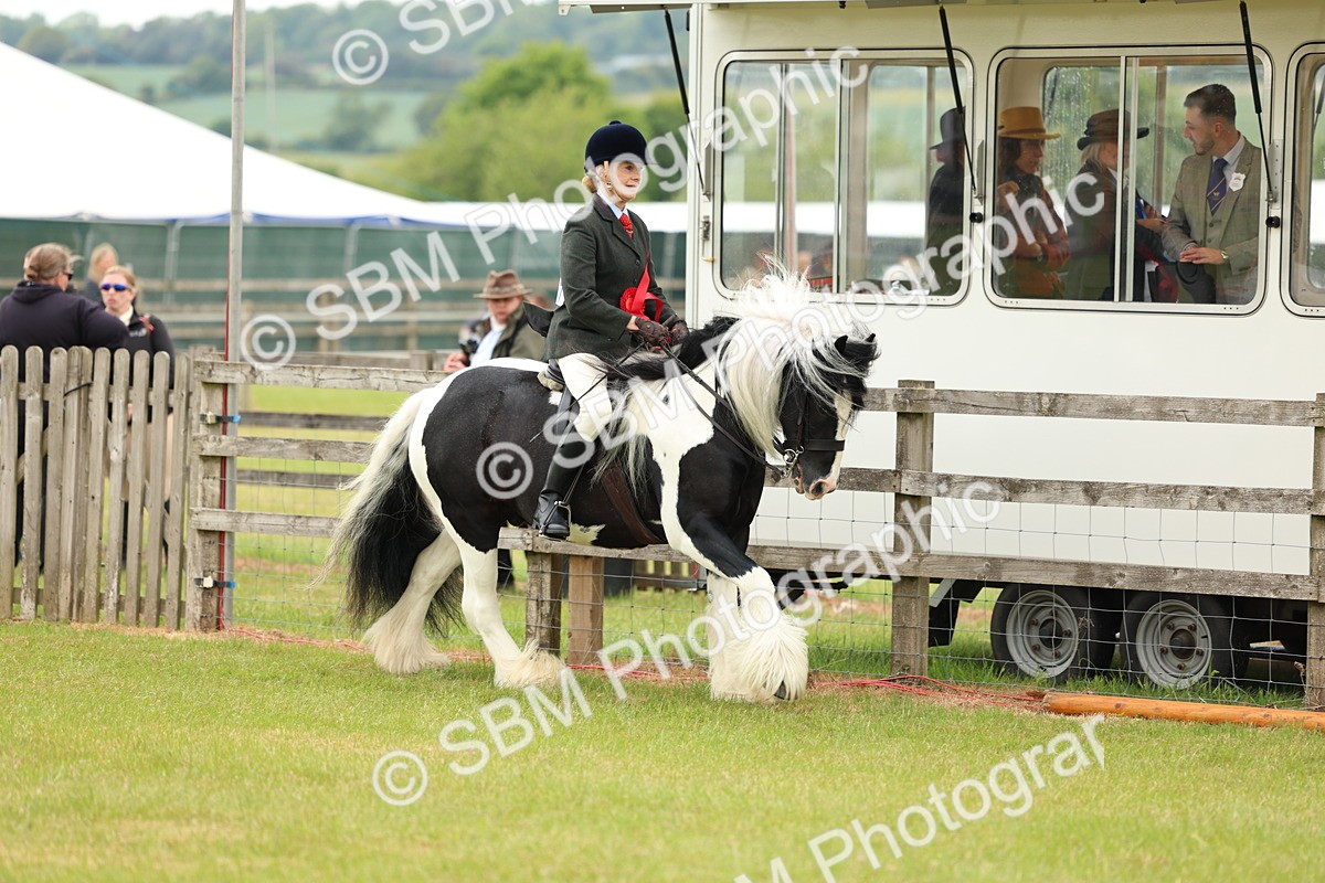 SBM_06260 - Class 39-41 TGCA In Hand and Ridden