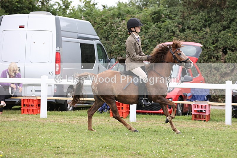 JPP_1716 - Class 18: Tiny Tots Working Hunter Pony