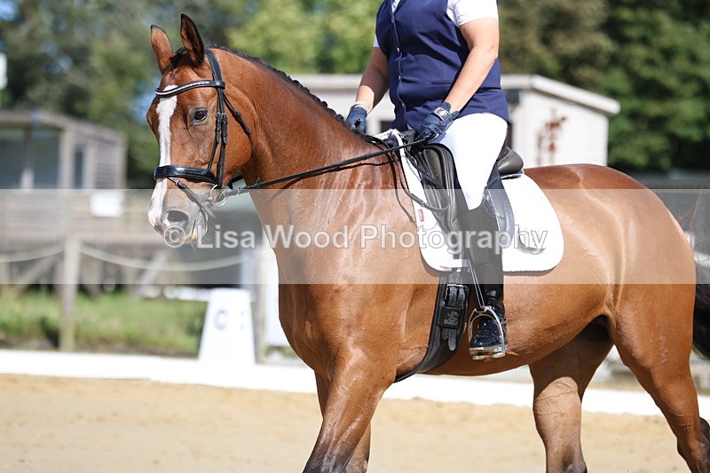 3E7A2848 - Class 5: Prelim 6 Section B Championship