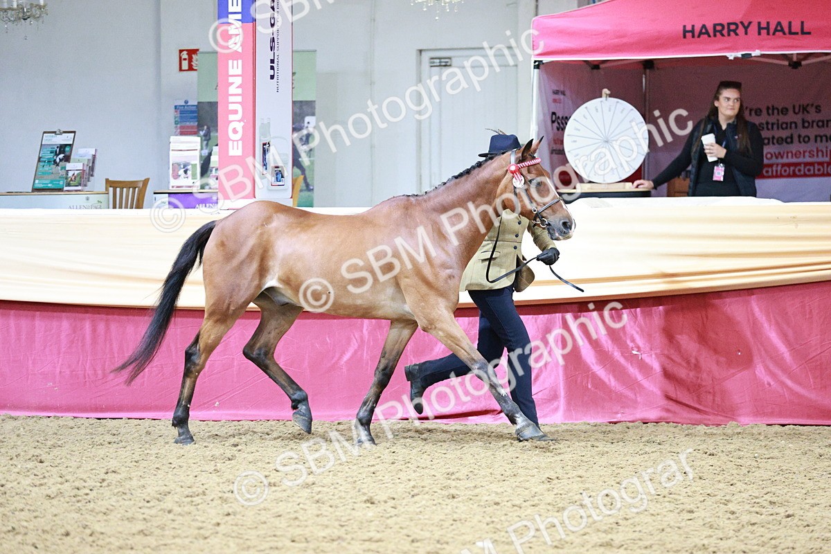 SBM_00154 - Class 1A - Area IH Diamond
