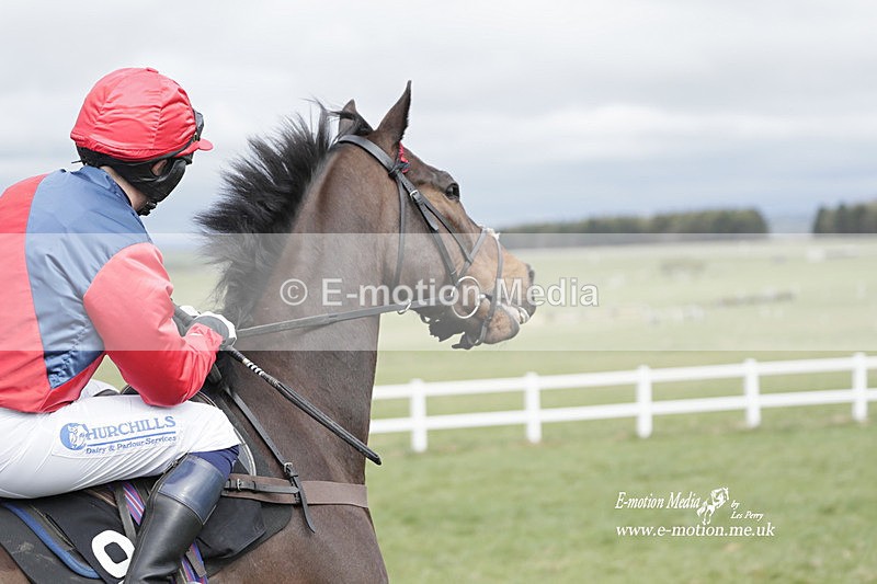 PtP 260323 0373 - New Forest Hounds Point-to-Point Larkhill 26/03/23