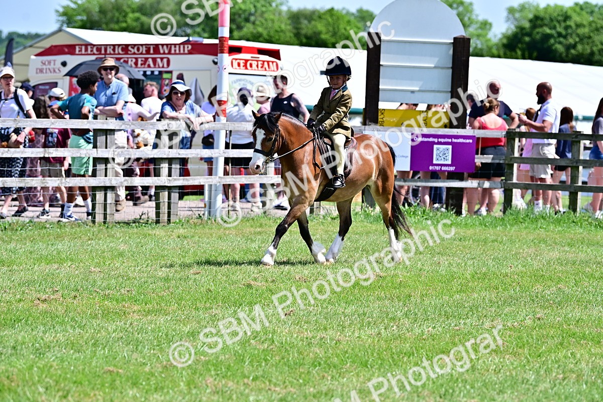 SBM_06109 - Class 59-60 - TSR M&M  Lear Rein and First Ridden Amateur of the year