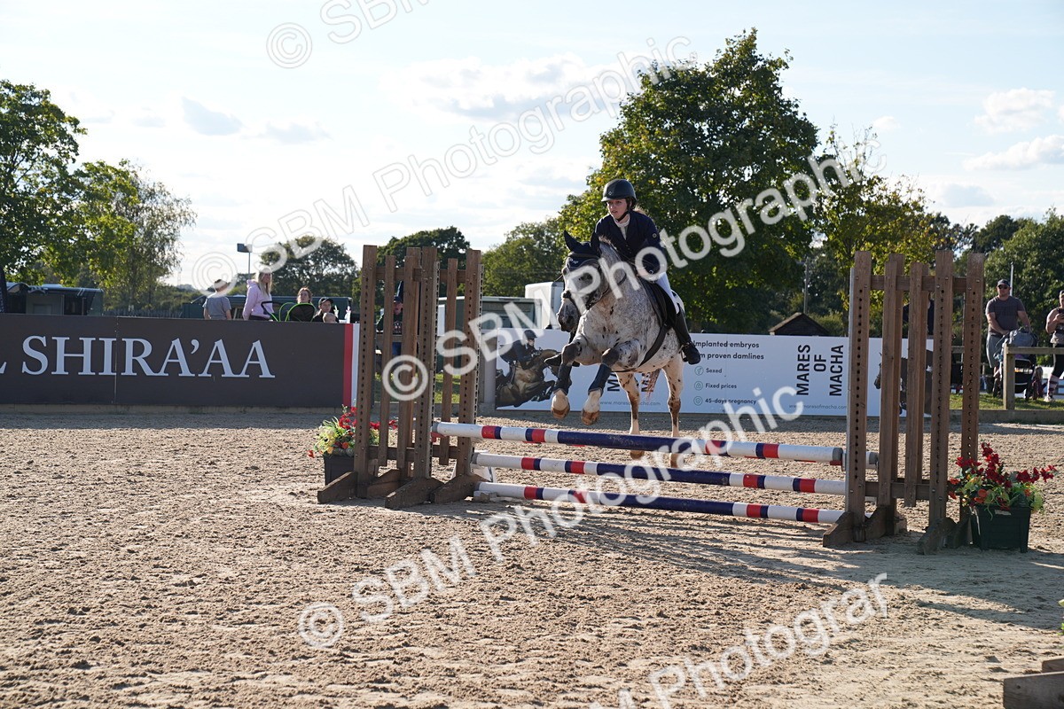 SBM_28034 - J43 - Super Speedy Scurry Open - 60cm