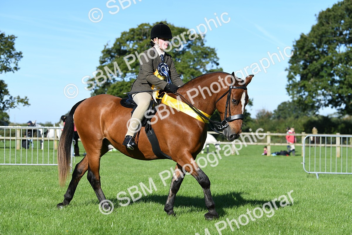 SBM_35634 - Top Turnout Supreme Championship