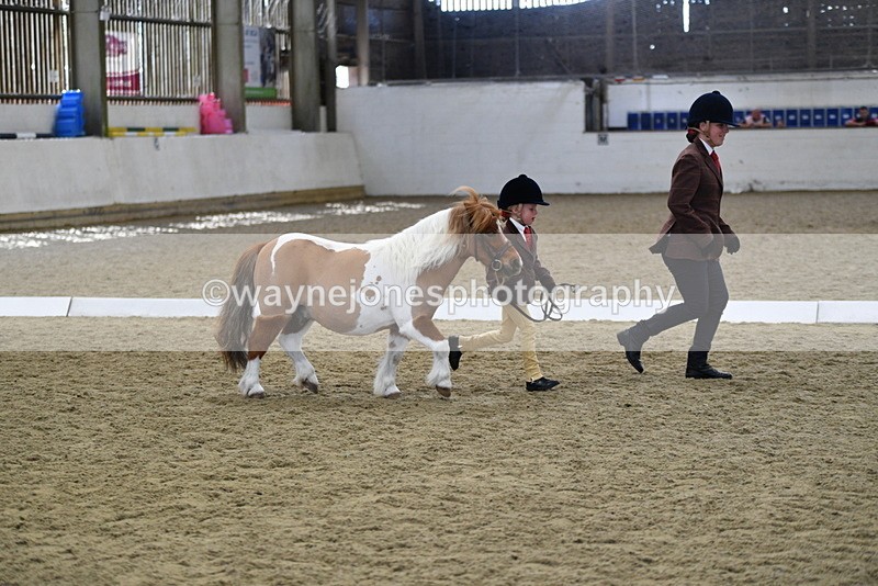 WJ5_4919 - Class 7 In hand coloured / odd coloured