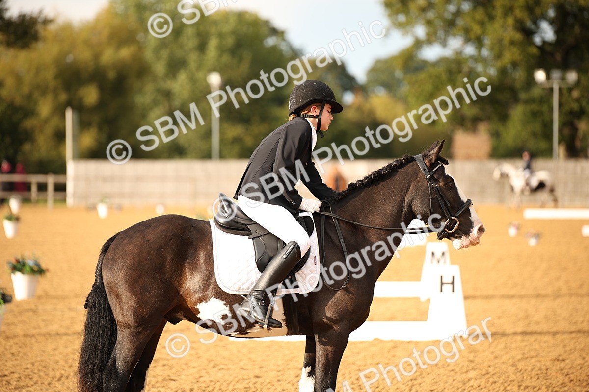 SBM_12420 - D3 Small  Tour Championship Intro A