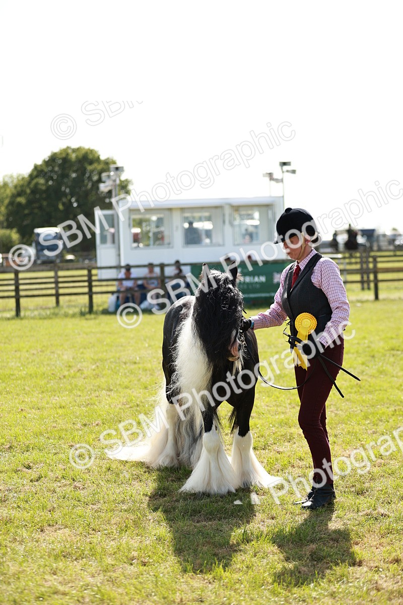 SBM_08921