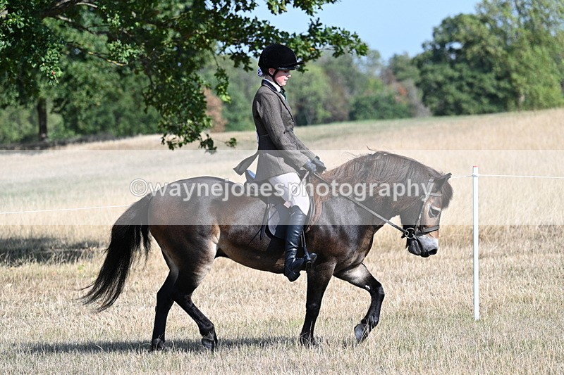WJ7_2910 - Class 8 Ridden Tack & Turnout