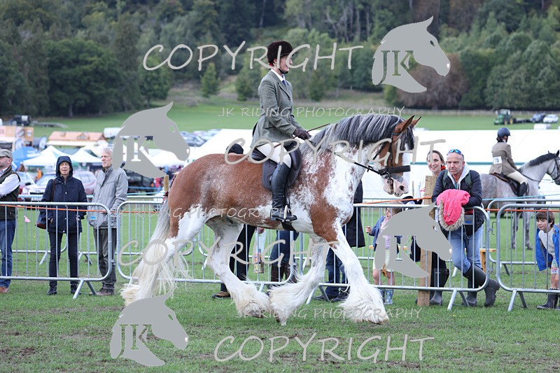 APP_3627 - Class 8 Ridden Class