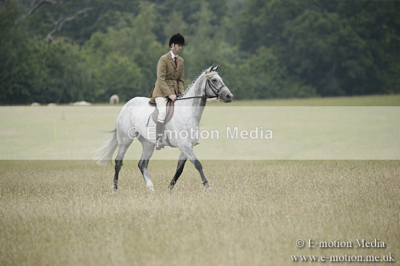 B230619-0684 - Bourne Valley Riding Club Summer Show 23/06/19