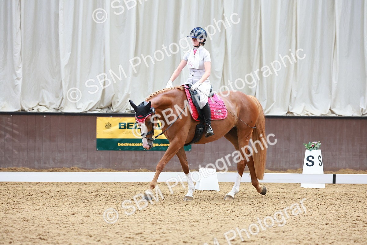 SBM_010208 - Prelim 5 - 10.04-11.21
