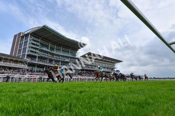 150524-Race 6-Shadow Army-5590 - Race 6 4.45pm British Stallion Studs EBF Novice Stakes