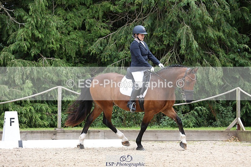 230812-142615-04418 - Cls 5 Novice Bronze 13.40 to 14.45 break