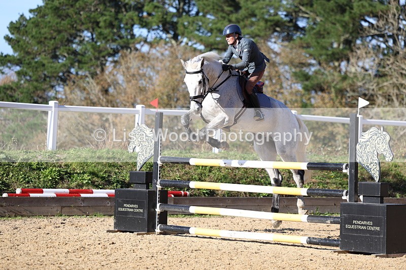 3E7A5777 - Class 8: Senior Foxhunter/1.20 open