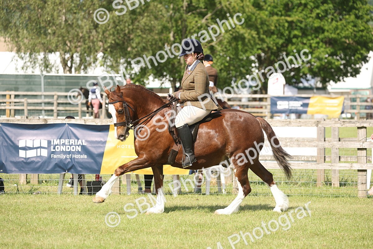 SBM_09590 - Class 33-38 - SSADL RIHS Qualifiers