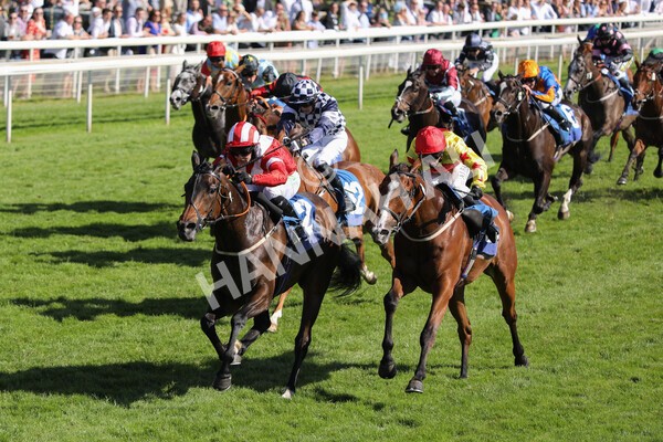  - Race 6 4.50pm The Ice Co supporting Macmillan Stakes