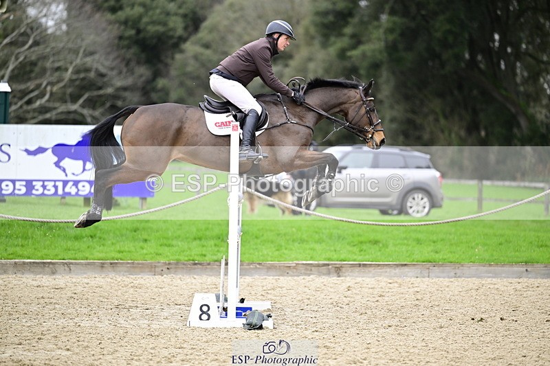 260214A-160720-01353 - 6 Foxhunter and 1m 20 Open