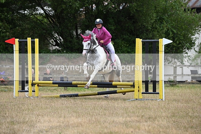 WJ6_0098 - Class 13 Novice Jumping 60cm