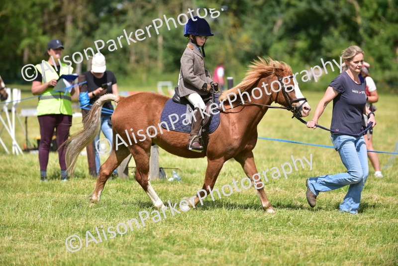20260614-1174 - Class 11a - Lead Rein Pony (Unplaited)