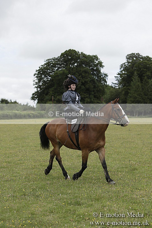 BVR160717-2431 - Side Saddle Classes 16/07/17