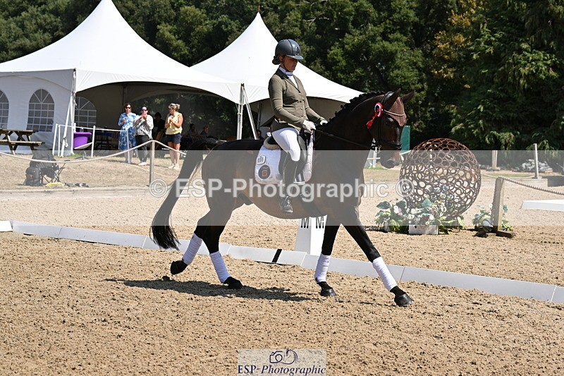 250810A-123428-06411 - Adv Medium GOLD Presentations