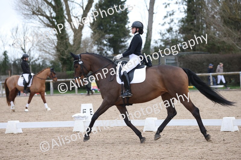 20260301-1087 - Class 11 - Advanced 1