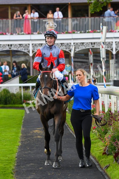 290723-Race 7-Bajan Bandit-1128 - Race 7 5.45pm Sky Bet Extra Places Every Day Handicap