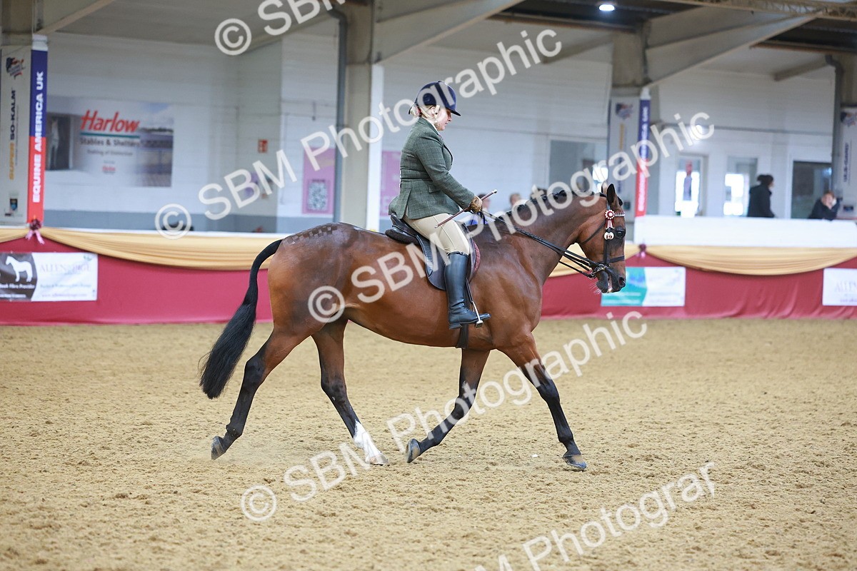 SBM_10646 - Class 103 - HOYS Veteran Qualifier - Ridden Pre Vet