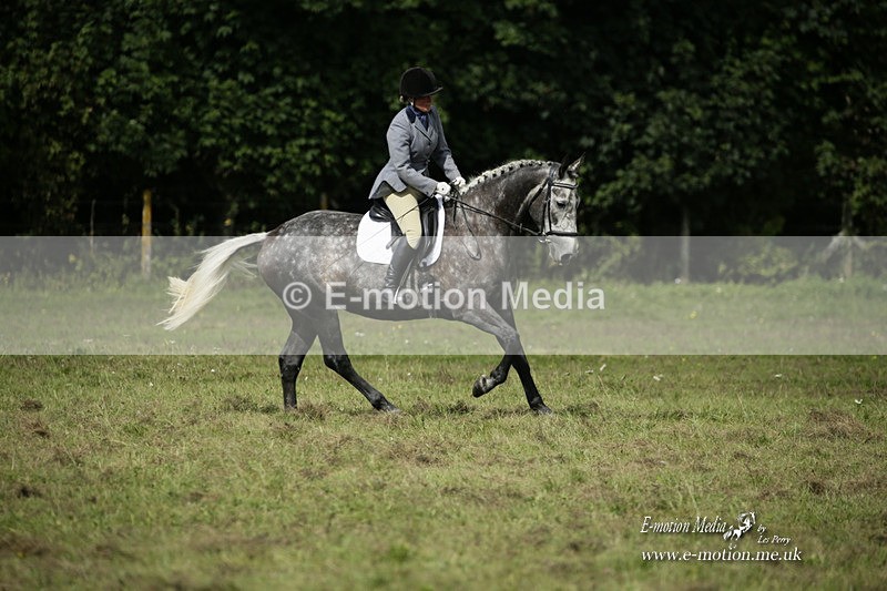 BVRC 120921 431 - Bourne Valley Riding Club UA Dressage & Show Jumping 12/09/21
