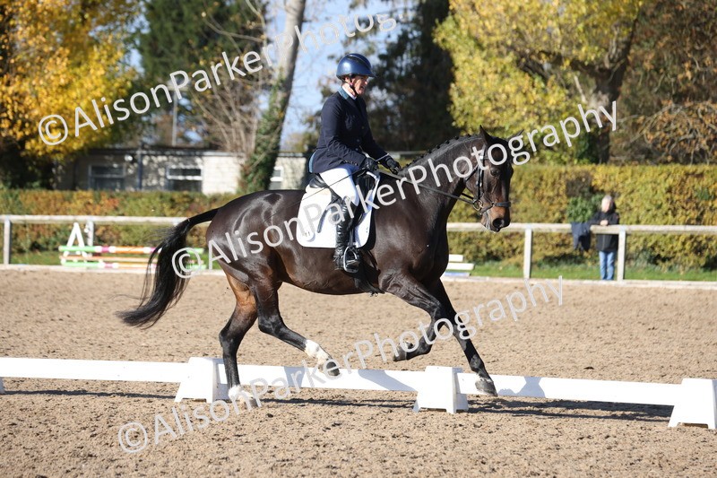 20251102-0985 - Class 5 - Elementary 5