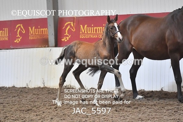 JAC_5597 - 13 Zi Real McCoy