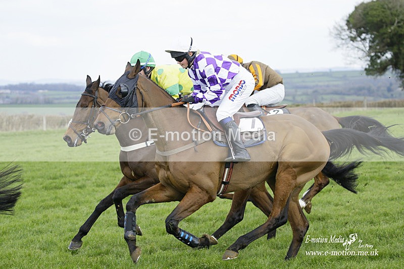PtP 060322 258 - Blackmore & Sparkford Vale Hunt PtP 06/03/22