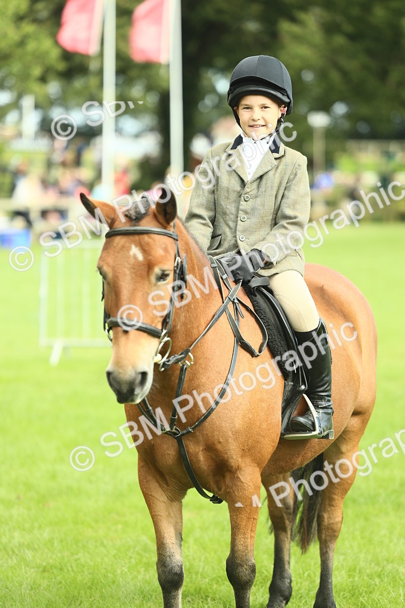 SBM_44809 - S31 - Working Hunter Pony