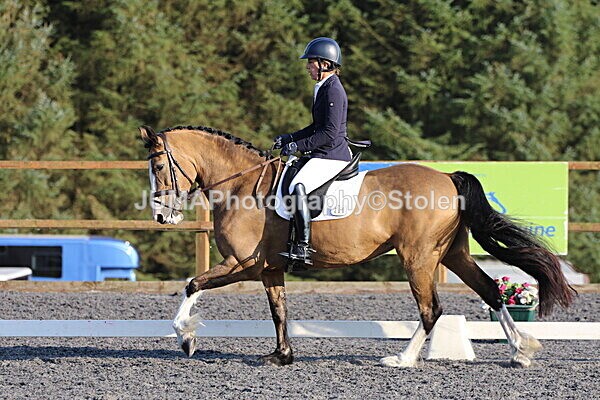 SIAL2065 - Saturday 16th 230pm till finish