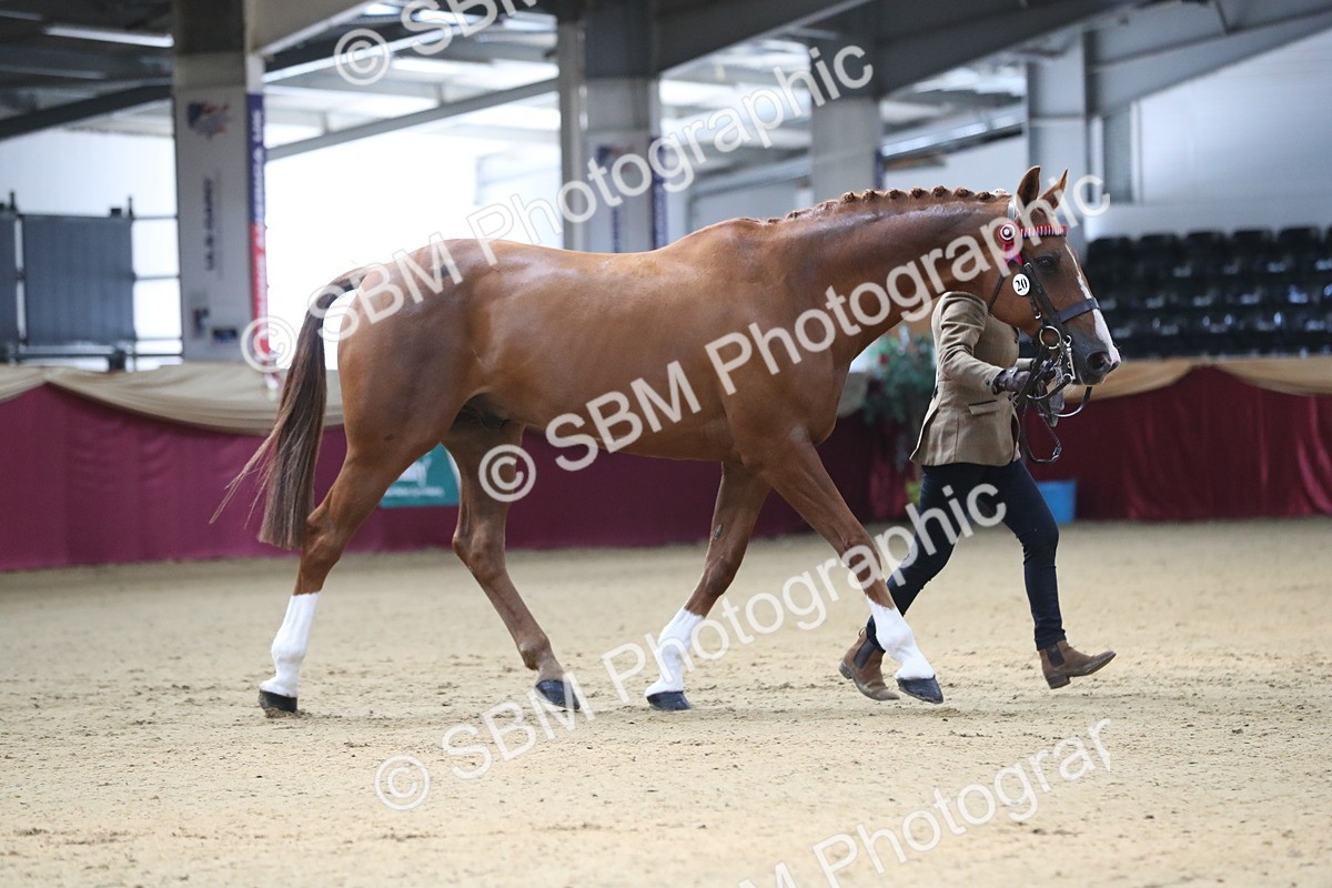 SBM_00514 - class 2a Area IH Veteran