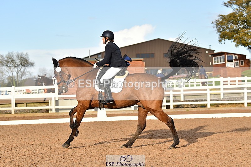 231104A-141942-02093 - Cls 13 Adv Medium 91