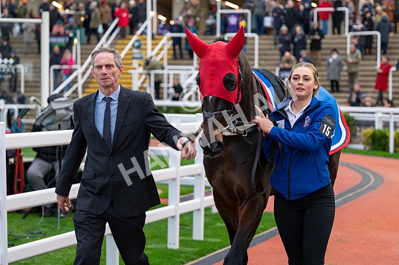 161125-Race 5-Helnwein-1753 - Race 5