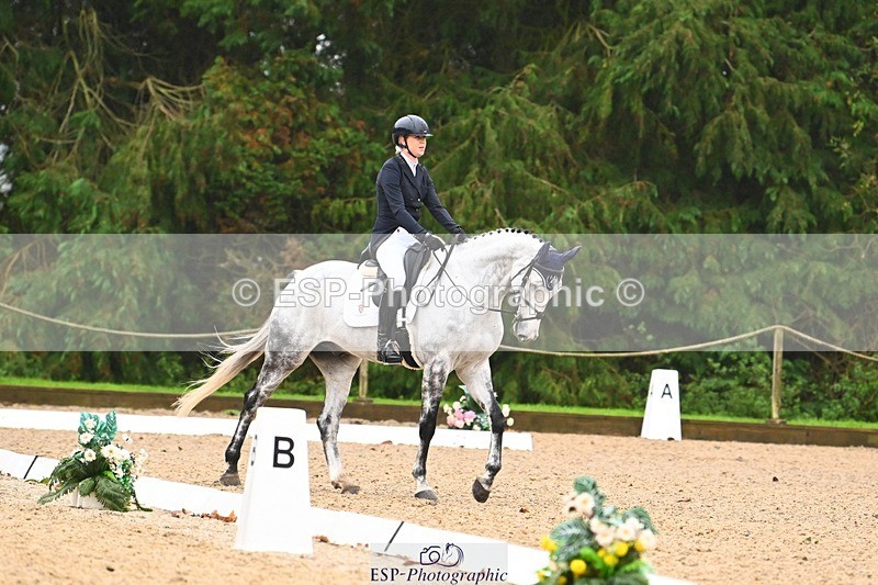 231021-104136-14710 - 332-COR.Y.TARAN-Toots.Bartlett-DR