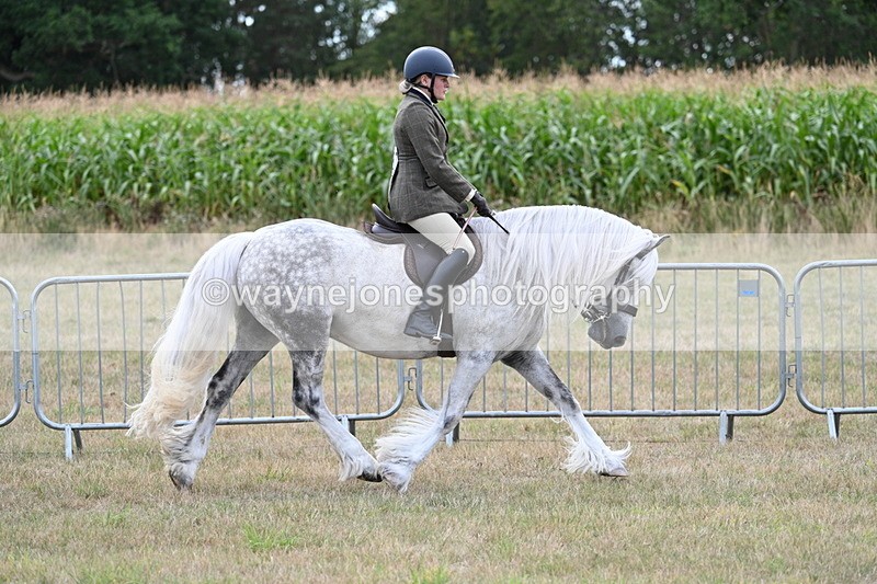 WJ7_5266 - Class 12 Ridden Cob