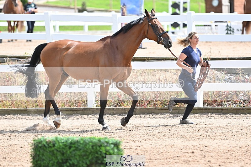 240717A-145044-02342 - Trot Up 2pm to 3pm - This folder is not in time order