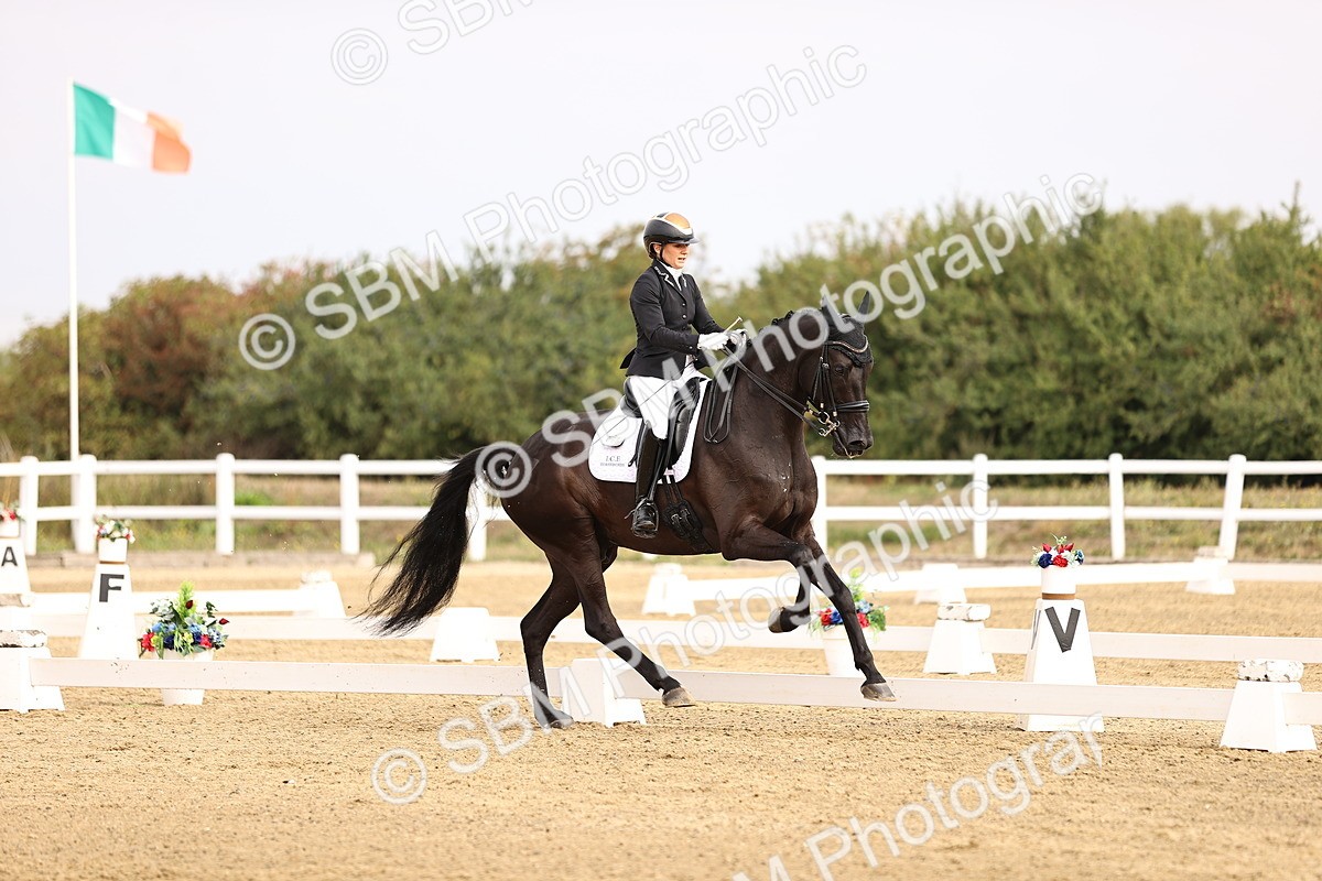 SBM_011632 - Class 1 - Medium 5